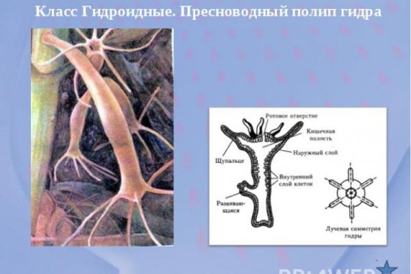 Ссылка на кракен онион